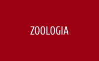 Zoologia