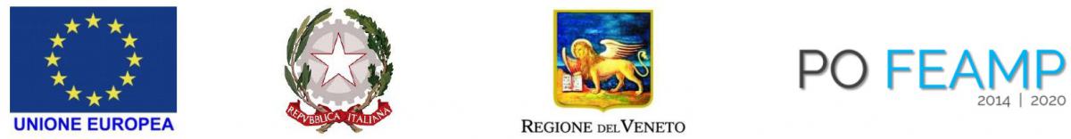 logo regione Veneto