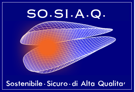 logo so.si.a.q.