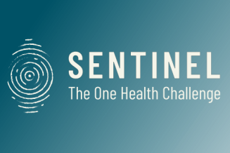 Progetto di eccellenza Sentinel