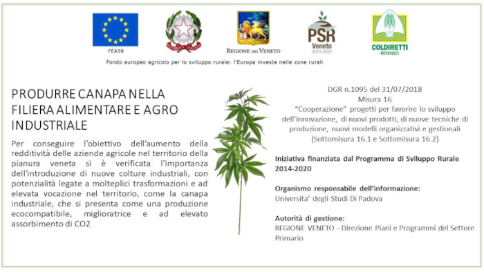 progetto canapa